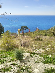 Similar image 22426942