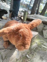 Similar image 22426943