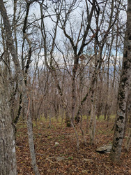 Similar image 22426944