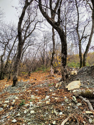 Similar image 22426958