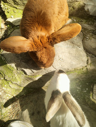 Similar image 22426961