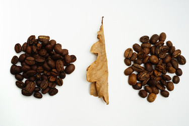 Similar image 22474752