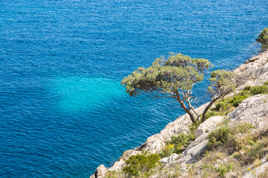 Similar image 22427116