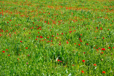 Similar image 22427123