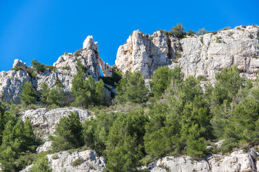 Similar image 22427132