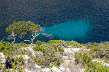 Similar image 22427139