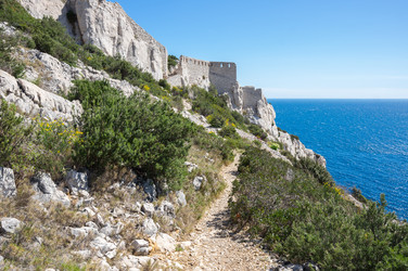 Similar image 22427144