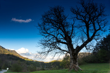 Similar image 22427146