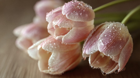 Similar image 22436120