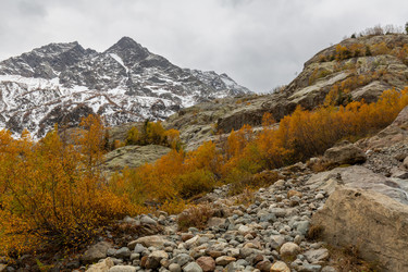 Similar image 22431893