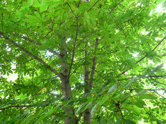 Similar image 22427223