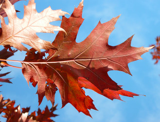 Similar image 22427228