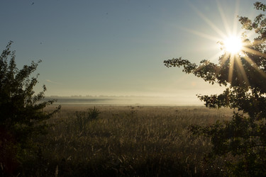 Similar image 22426838