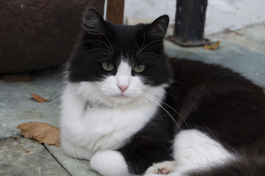 Similar image 22426839