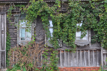 Similar image 22426842