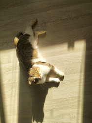 Similar image 22431682