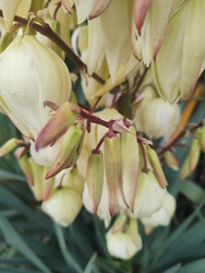 Similar image 22431683