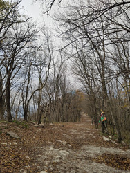 Similar image 22431684