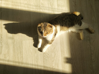 Similar image 22431686