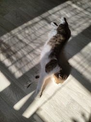 Similar image 22431687