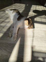 Similar image 22431688