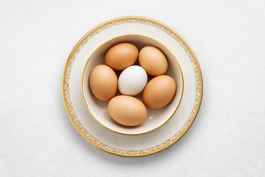 Similar image 22442515