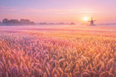 Similar image 22442517