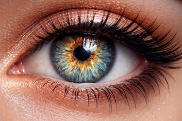 Similar image 22442523