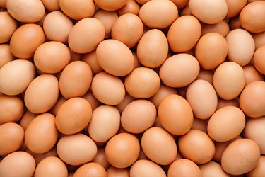 Similar image 22442543