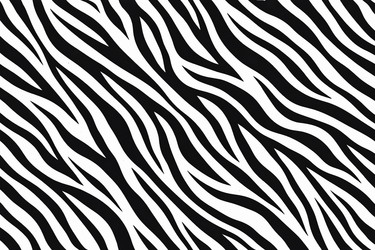 Similar image 22430750