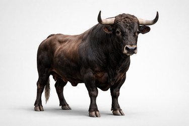 Similar image 22430751