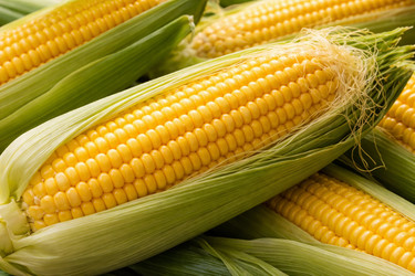 Similar image 22430765