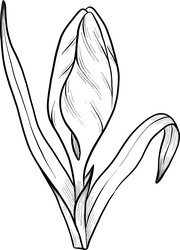 Similar image 22428403