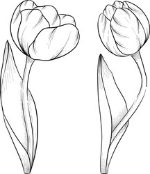 Similar image 22428414