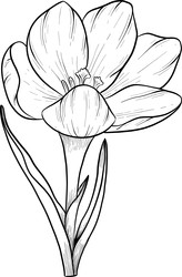 Similar image 22428416