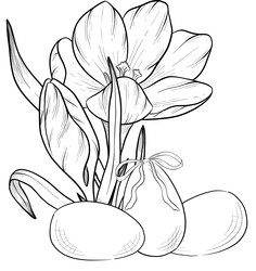 Similar image 22428419