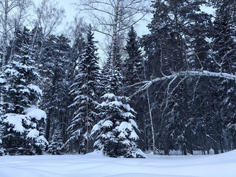 Similar image 22454561