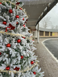 Similar image 22430703