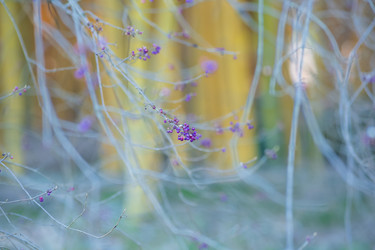 Similar image 22431673