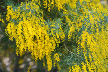 Similar image 22431675