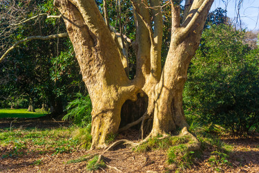 Similar image 22431676