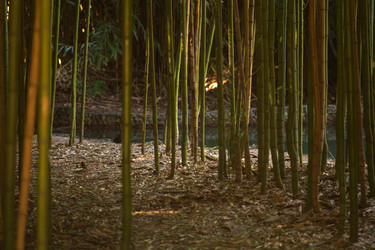 Similar image 22431677