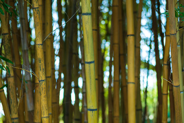 Similar image 22431678