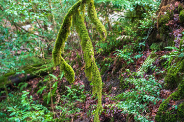 Similar image 22431679