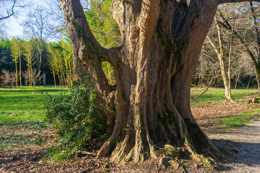 Similar image 22431680