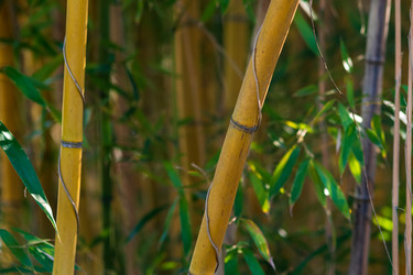 Similar image 22431689