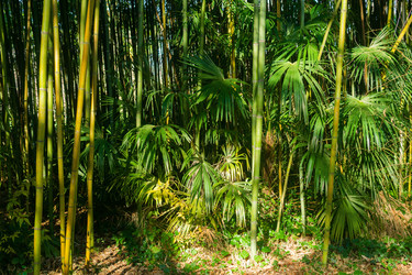 Similar image 22431690