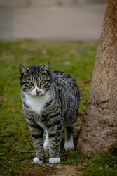 Similar image 22430822