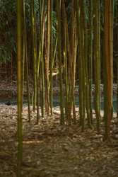 Similar image 22431691