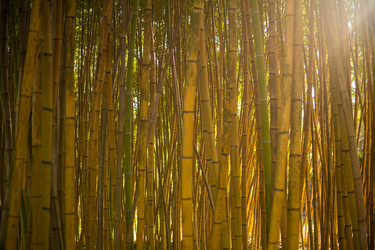 Similar image 22431692